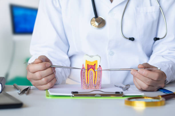 Best Emergency Dental Care for Sports Injuries in Monroe, UT